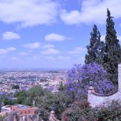  San Miguel de Allende, Mexico 2009